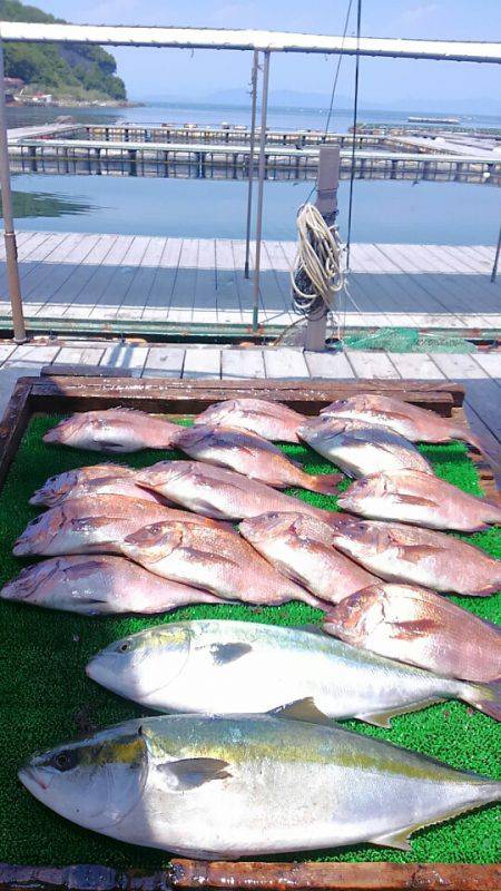 海の釣堀 海恵 釣果