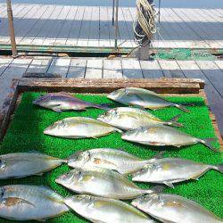 海の釣堀 海恵 釣果