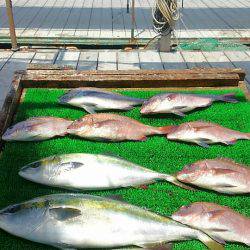 海の釣堀 海恵 釣果