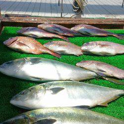 海の釣堀 海恵 釣果