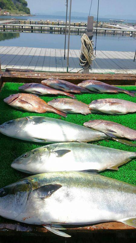 海の釣堀 海恵 釣果