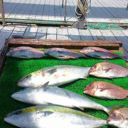 海の釣堀 海恵 釣果