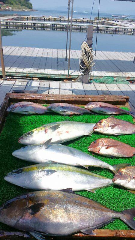海の釣堀 海恵 釣果