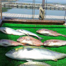 海の釣堀 海恵 釣果