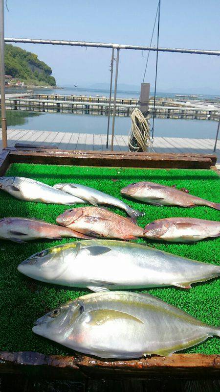 海の釣堀 海恵 釣果