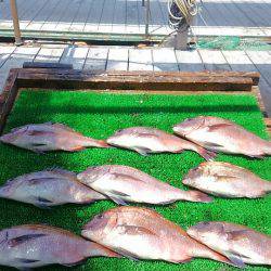 海の釣堀 海恵 釣果