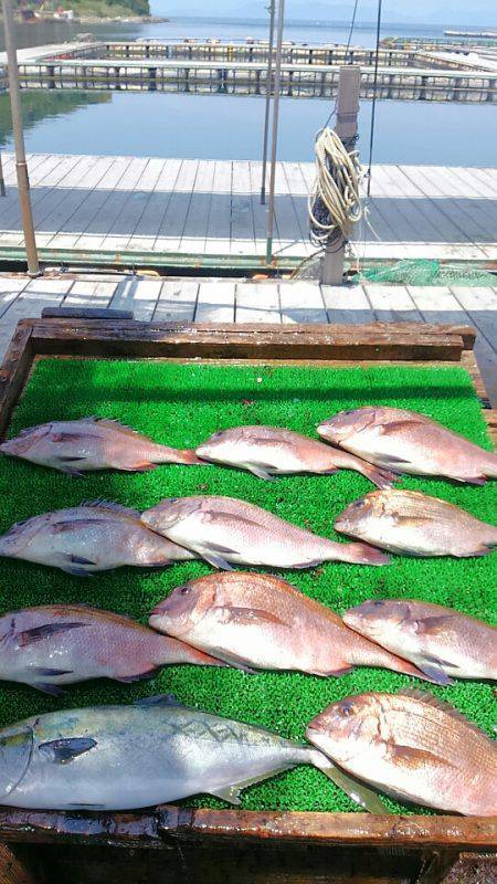 海の釣堀 海恵 釣果