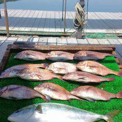 海の釣堀 海恵 釣果