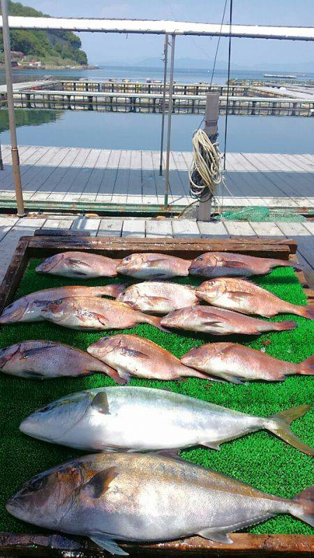 海の釣堀 海恵 釣果