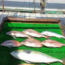 海の釣堀 海恵 釣果