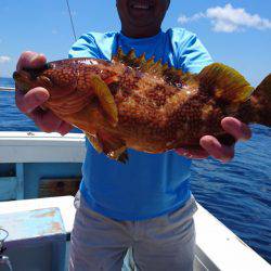 あみや渡船 JIGBOY 釣果