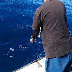 あみや渡船 JIGBOY 釣果