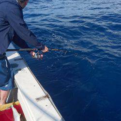 あみや渡船 JIGBOY 釣果