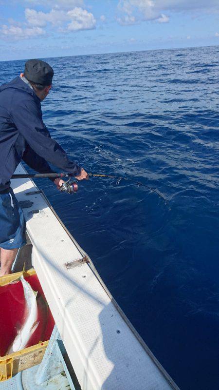 あみや渡船 JIGBOY 釣果