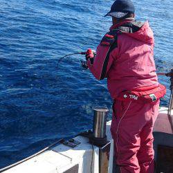 あみや渡船 JIGBOY 釣果