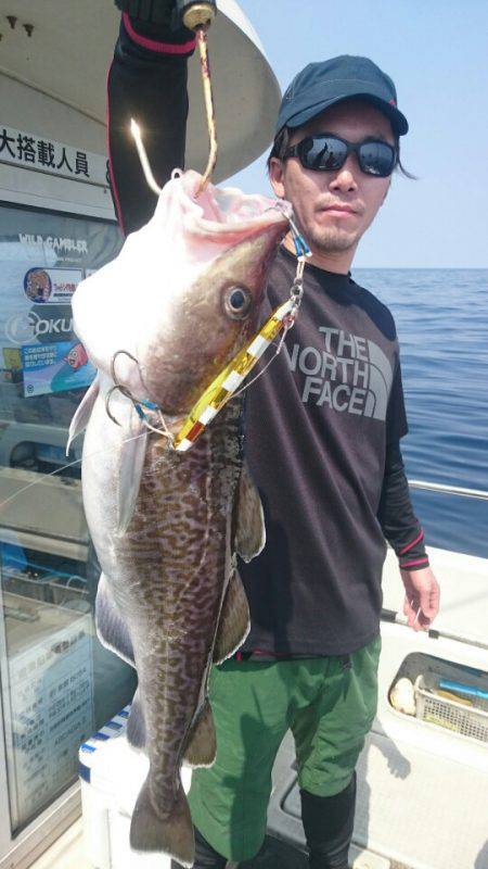 ARCADIAⅡ (アルカディアⅡ) 釣果