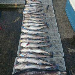 ARCADIAⅡ (アルカディアⅡ) 釣果