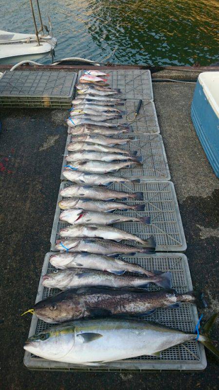 ARCADIAⅡ (アルカディアⅡ) 釣果