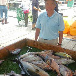 海の釣堀 海恵 釣果