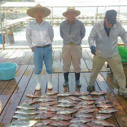 海の釣堀 海恵 釣果