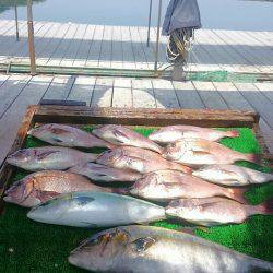 海の釣堀 海恵 釣果