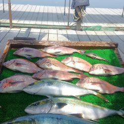 海の釣堀 海恵 釣果