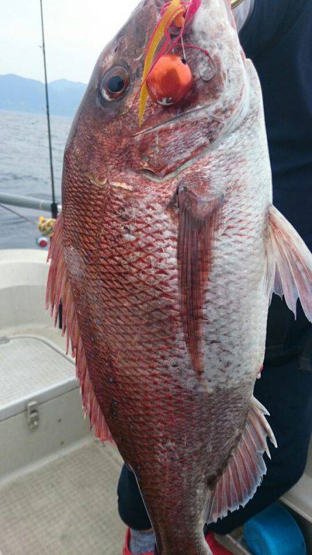 ARCADIAⅡ （アルカディアⅡ） 釣果…