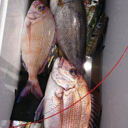 第三共栄丸 釣果