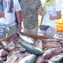 海の釣堀 海恵 釣果