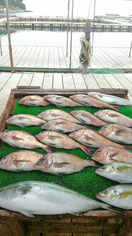 海の釣堀 海恵 釣果
