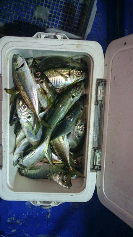 海龍丸（石川） 釣果