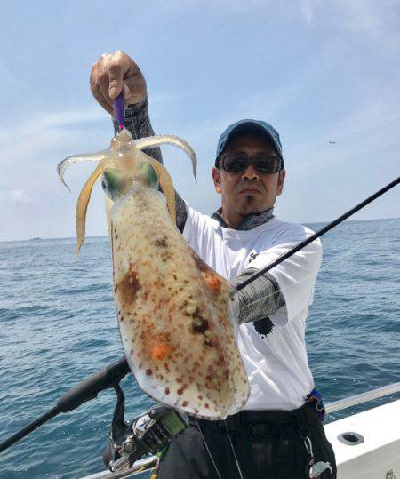 South Current 釣果