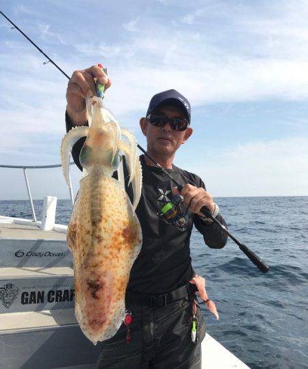 South Current 釣果