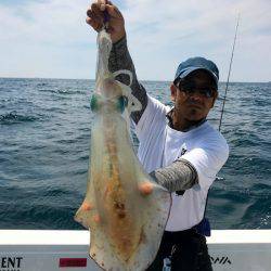 South Current 釣果