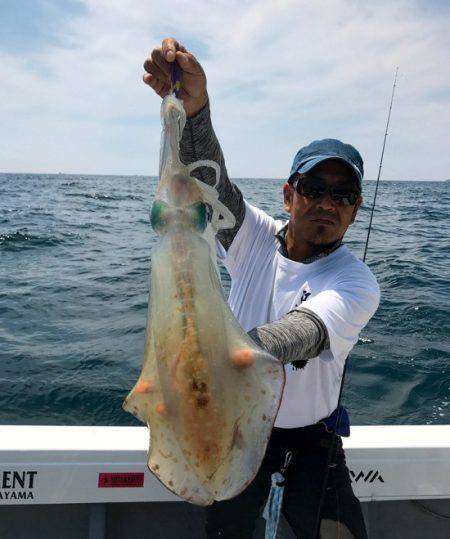 South Current 釣果