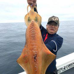 South Current 釣果