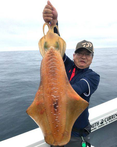 South Current 釣果