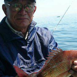 小島丸 釣果