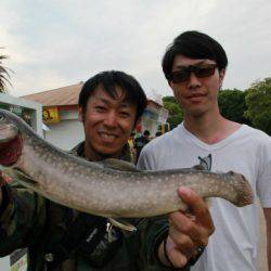 としまえんフィッシングエリア 釣果