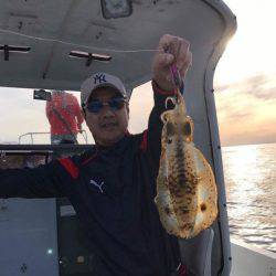 South Current 釣果