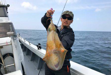 South Current 釣果