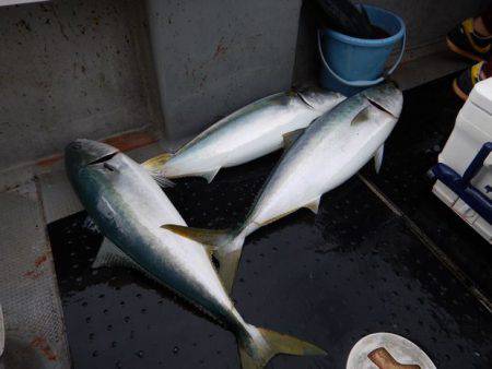 LUSTER『ラスター』 釣果