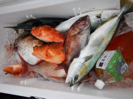 LUSTER『ラスター』 釣果