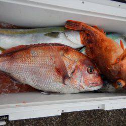 LUSTER『ラスター』 釣果