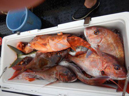 LUSTER『ラスター』 釣果