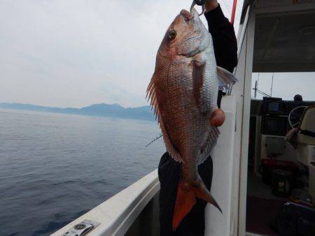 LUSTER『ラスター』 釣果