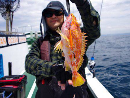 Big One　ビッグワン 釣果