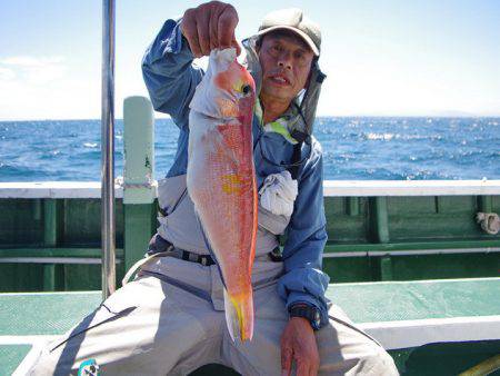 Big One　ビッグワン 釣果