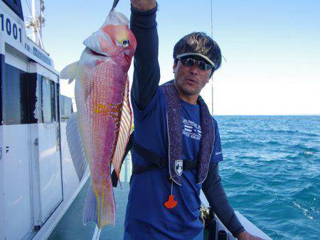 Big One　ビッグワン 釣果