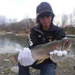 つりぼりあかし 釣果